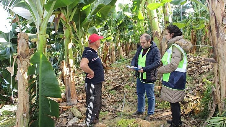Antalya Büyükşehir grupları saha çalışmalarını sürdürüyor