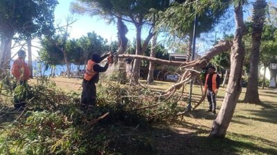Antalya’da fırtına mesaisi