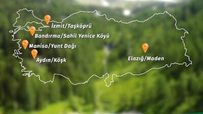 Banvit BRF Ormanları 60 bin ağaca ulaştı