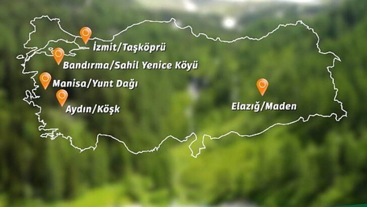 Banvit BRF Ormanları 60 bin ağaca ulaştı