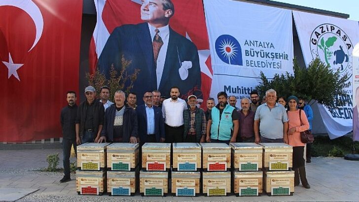 Büyükşehir’den Gazipaşalı arıcılara kovan dayanağı
