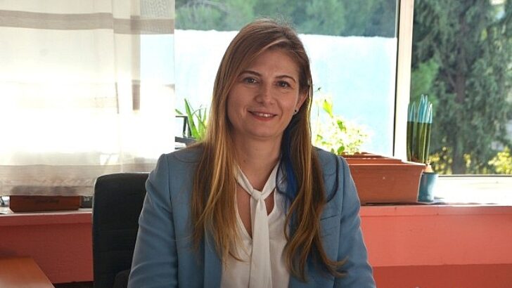 COP29: İklim değişikliğiyle uğraşta yeni bir başlangıç