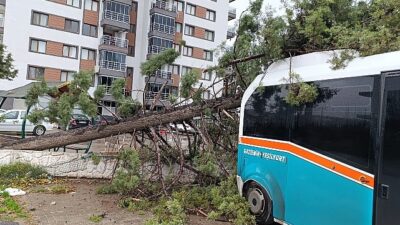 İzmir Büyükşehir Belediyesi 850 işçi ve 640 araçla alanda