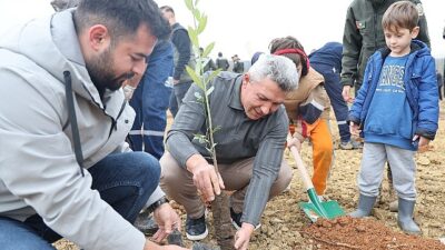 Kandıra’da 1.500 Defne Fidanı Toprakla Buluştu.