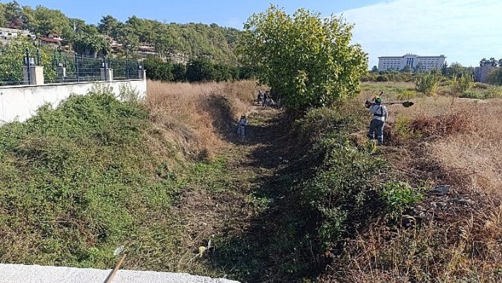 Kemer’de dere paklığı çalışmaları