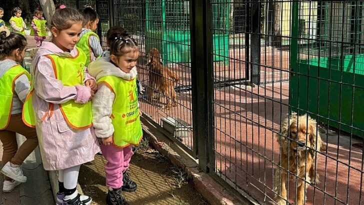 Küçük hayvanseverlerden can dostlarına ziyaret
