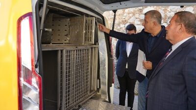 Milas Belediyesi Can Dostlarımızın Yardımına Koşuyor