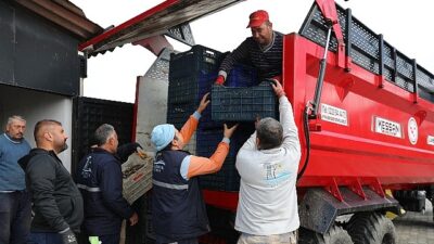 Seferihisar’da Zeytinyağı Dönemi Açıldı
