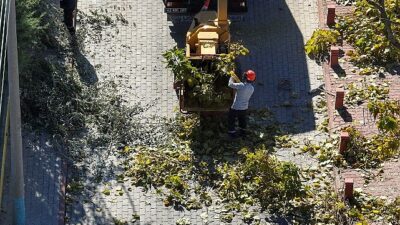 Selçuklu’da Ağaç Budama Çalışmaları Devam Ediyor