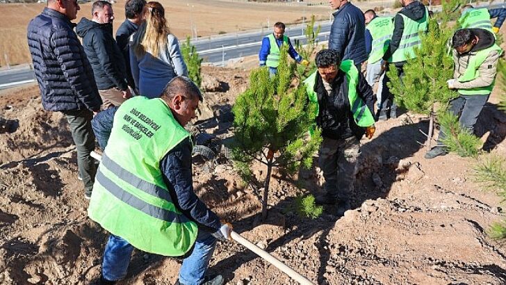 Sivas Belediyesi anlamlı bir çalışmaya imza atarak mevsimlik işçiler adına hatıra ormanı oluşturdu.