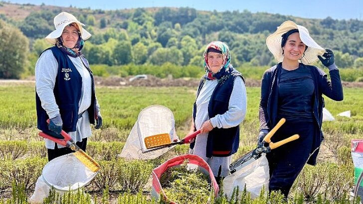 TABİP’te 2024 üretim dönemi tamamlandı