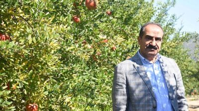 Türkiye’nin 10 aylık nar ihracatı 100 milyon doları aştı