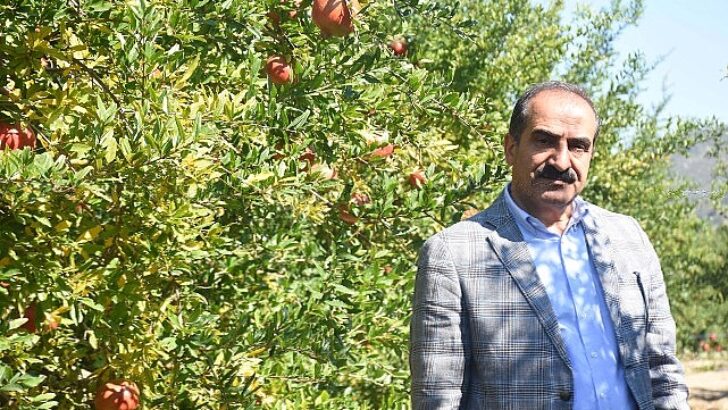 Türkiye’nin 10 aylık nar ihracatı 100 milyon doları aştı