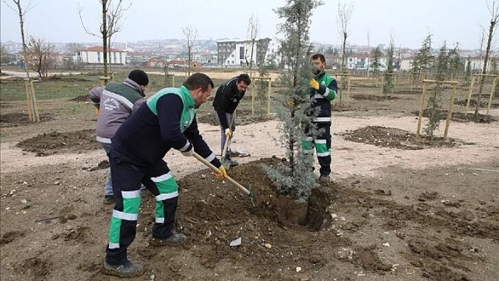 167 Fidan Engelliler İçin Toprakla Buluştu