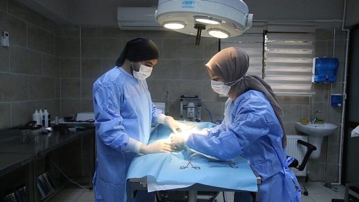 Büyükşehir patili dostlara sahip çıkıyor