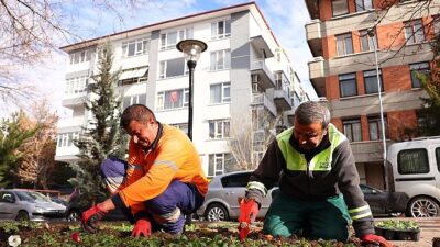 Çankaya parkları çiçek açıyor