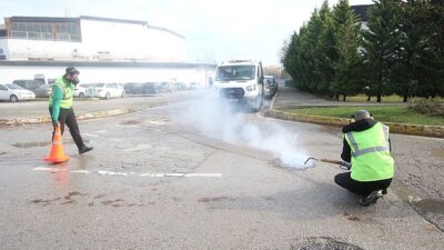 Haşereyle gayrete kışın da devam