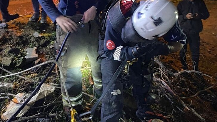 İtfaiye grupları buzağıyı düştüğü kuyudan çıkardı