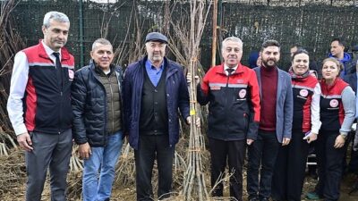 İzmirli Kestane Üreticilerine Kestane Gal Arısına Sağlam 2 bin 620 Fidan Dağıtıldı