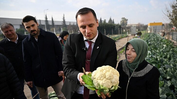 Kent Bostanı, bayanların elinde yeşerdi