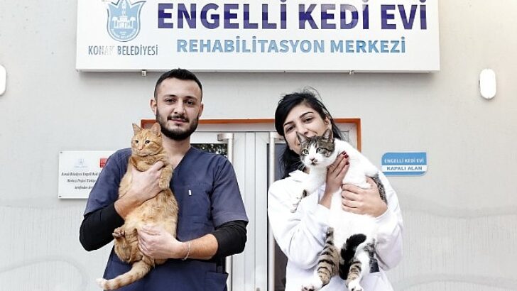 Konak’ın pürüzleri aşan Kedi Konutu’ndan sahiplenme daveti