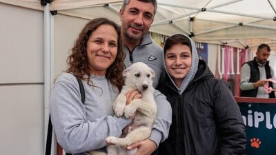 Konak’tan patili dostları sahiplendirme aktifliği: Yeni yıla sıcak yuvalarında girecekler