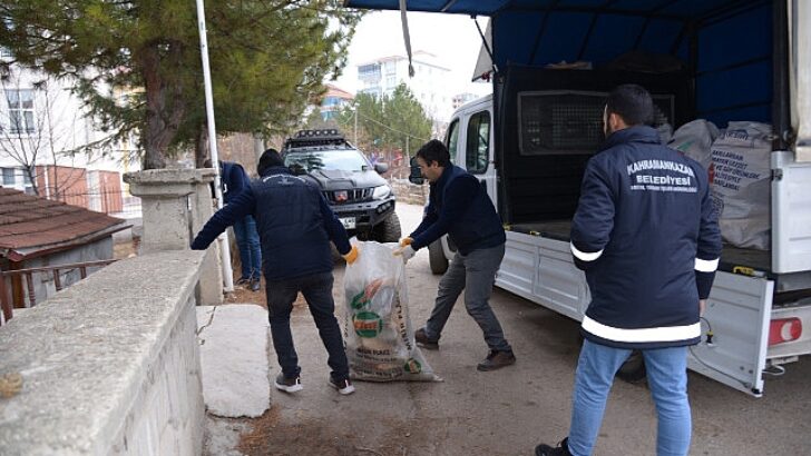 Muhtaçlık sahiplerine yakacak dayanağı