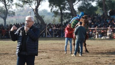 Pelitköy Deve Güreşleri İçin Geri Sayım Başladı