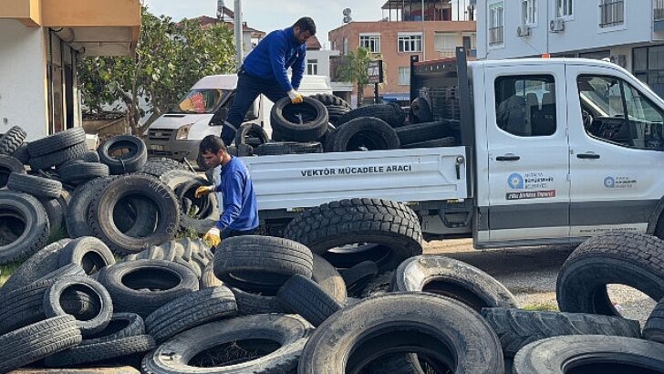 Sineklerin üreme alanı lastikler toplanıyor