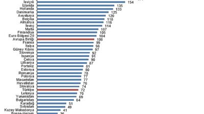 Tüik: SGP’ye nazaran kişi başına gayrisafi yurt içi hasıla endeks pahası 72 oldu
