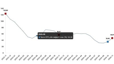 Tüik: Tarım eserleri üretici fiyat endeksi (Tarım-ÜFE) yıllık %46,91 arttı, aylık %8,88 arttı