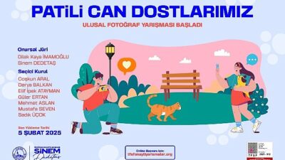 Üsküdar Belediyesi “Patili Can Dostlarımız” Ulusal Fotoğraf Yarışı Başladı