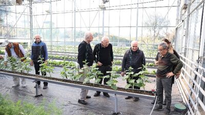 Alzheimer hastalarının umut konutu Mavi Konut