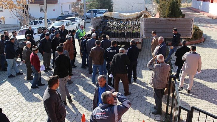 Antalya Büyükşehir Belediyesi kar marjı yüksek su gereksinimi düşük eserleri çiftçiyle buluşturuyor