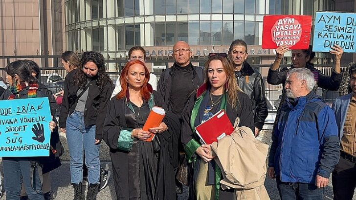 Bakırköy Belediyesi’nin Müdahil Olduğu Köpeğe İstismar Davası Sonuçlandı: 1 Yıl 6 Ay Mahpus Cezası
