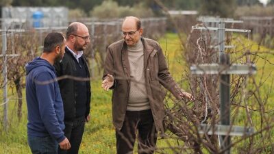 Buca’nın lezzetli razakı üzümü coğrafik işaret almaya hazırlanıyor