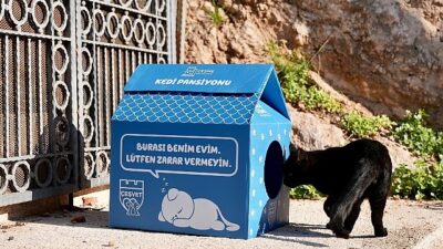 Çeşme Belediyesi’nden sokaktaki minik patilere sıcak bir yuva!