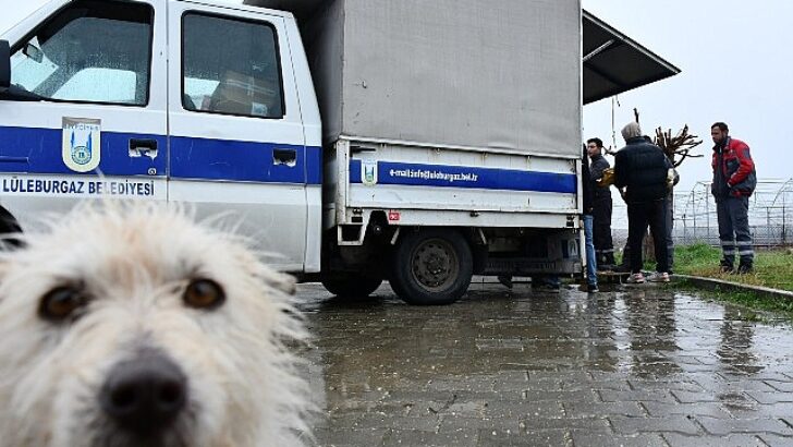 Dayanışmanın en güzel örneği