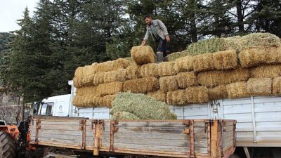Elmalı Yuva’da saman takviyesi afetzedelerin yüzünü güldürdü