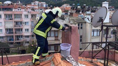 İhmal Edilen Baca Paklığı Yangına Neden Oluyor