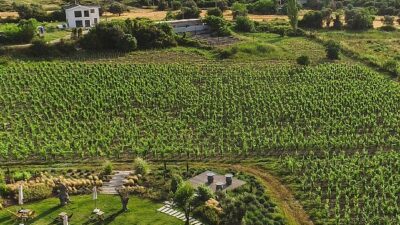 İzmir “Tercih Edilen Destinasyon” olmak için finalde