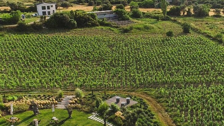İzmir “Tercih Edilen Destinasyon” olmak için finalde