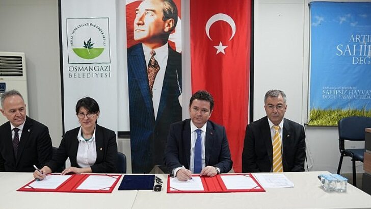 Sahiplenilen köpeklerin birinci aşısı ve muayenesi Osmangazi Belediyesi’nden