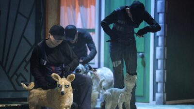 “Şebo Müzikali” sokak hayvanlarının sesi oldu