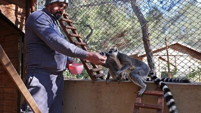 Antalya Doğal Ömür Parkı’nda soğuk hava tedbiri