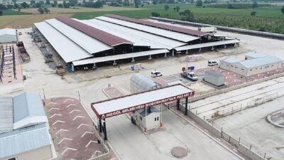 İnegöl Hayvan Pazarı Bu Hafta Kurulacak