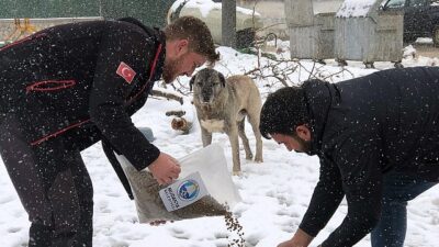 Mudanya Belediyesi’nden Kar Mesaisi: Yollar Açılıyor, Can Dostlar Unutulmuyor