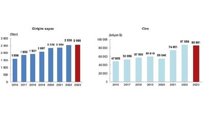 Tüik: Türkiye’de yerleşik teşebbüsler tarafından yurt dışında denetim edilen teşebbüslerin elde ettiği ciro 2023 yılında 85 milyar 801 milyon dolar oldu
