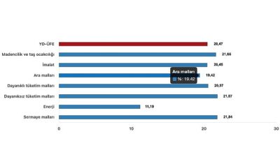 Tüik: Yurt Dışı Üretici Fiyat Endeksi (YD-ÜFE) yıllık %20,47 arttı, aylık %2,01 arttı