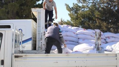 Antalya Büyükşehir’den üreticilere süt yem dayanağı